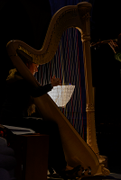 concert-_mariane_lecler-harpe_-mini.png